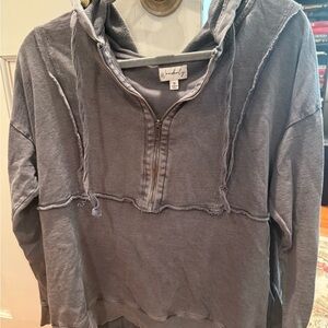 Wonderly Washed Gray Half-Zip Hoodie Sweatshirt